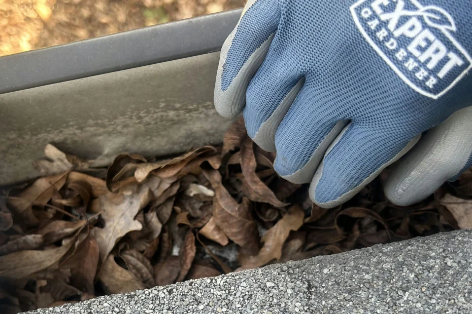 Gutter Cleaning Englewood FL