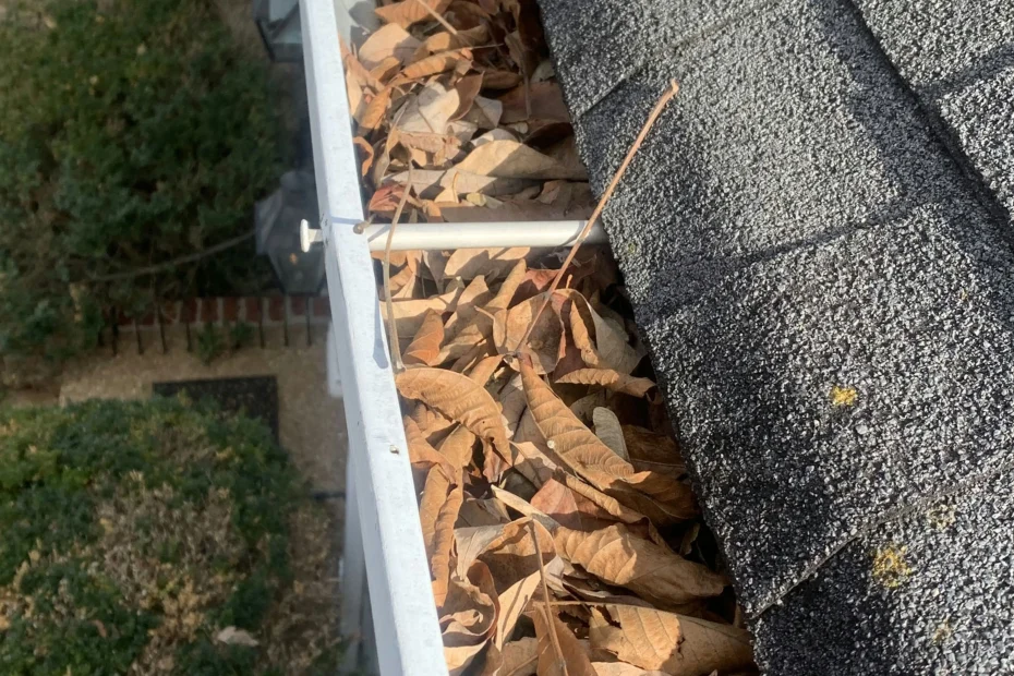 Gutter Cleaning Englewood FL